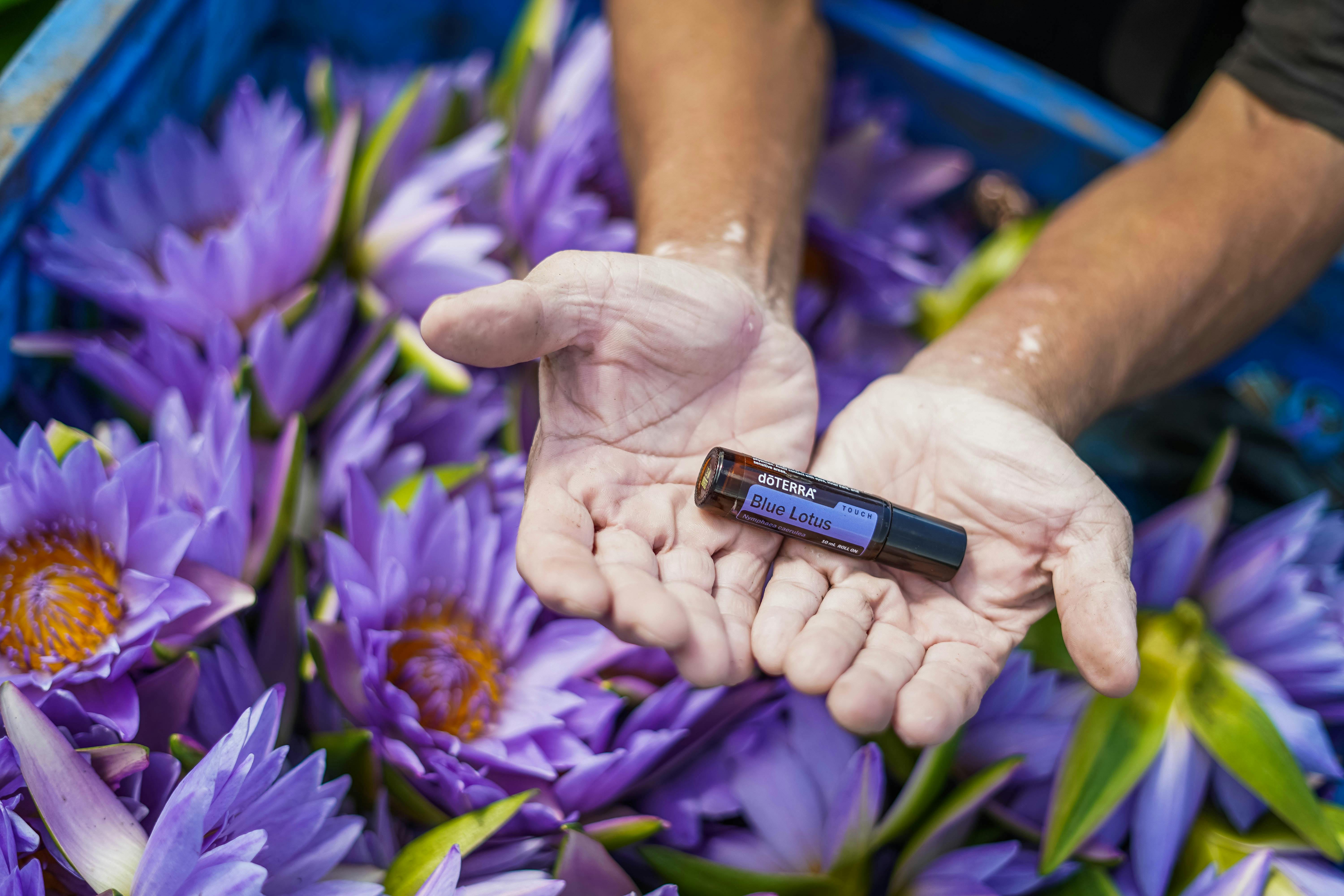 Comment choisir son parfum de niche : le guide pour trouver votre signature olfactive — ELLISTE
